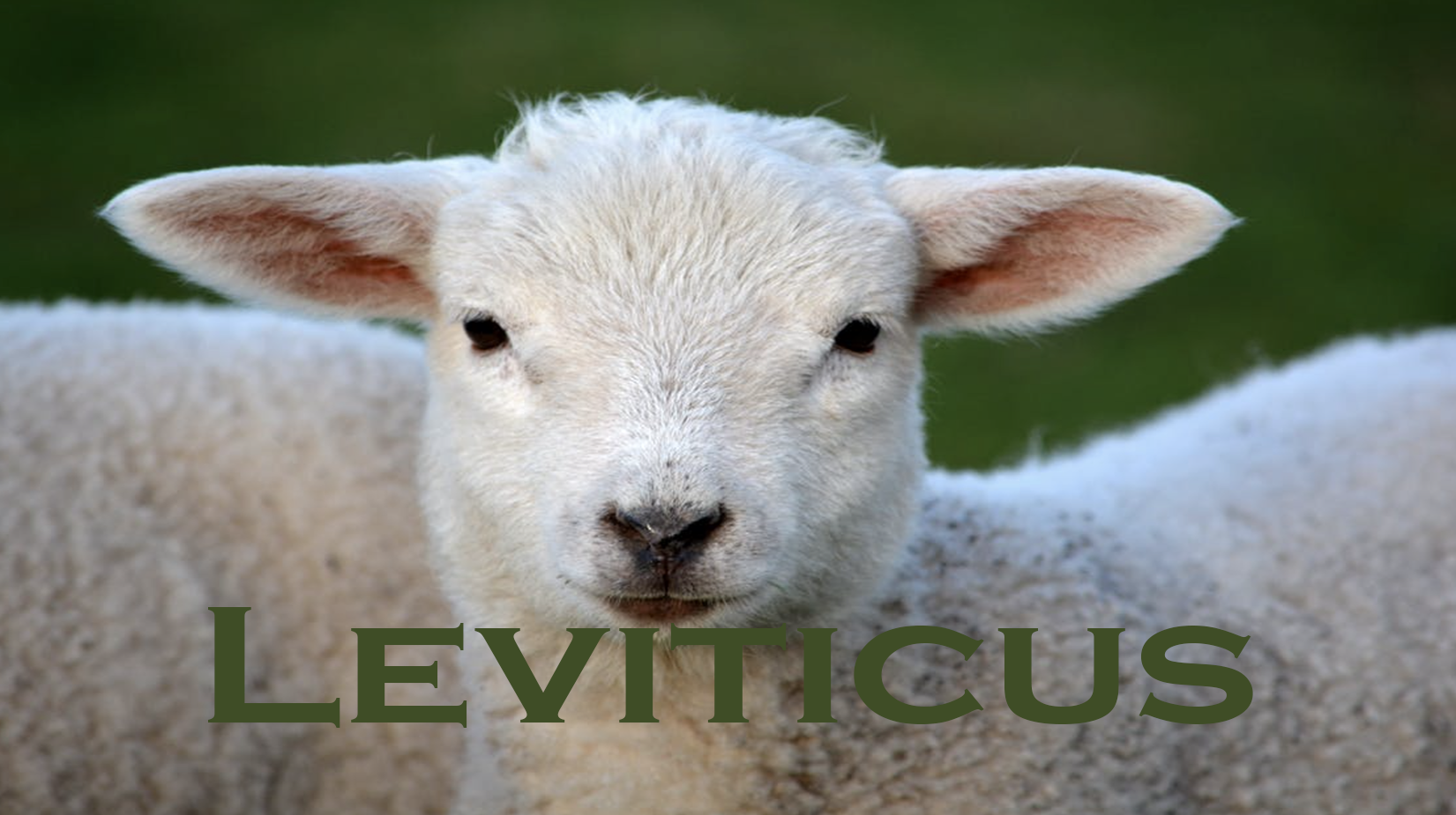 Leviticus