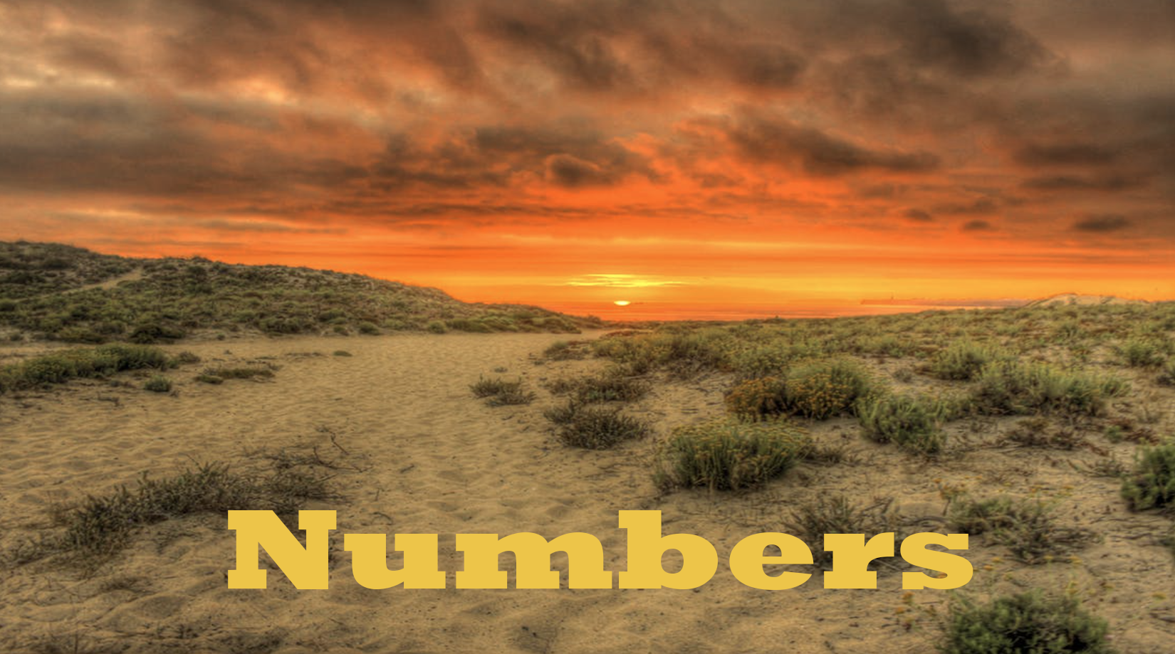 Numbers